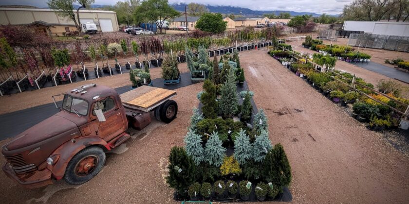 We Wait All Year for This! Bring on the May-hem!​