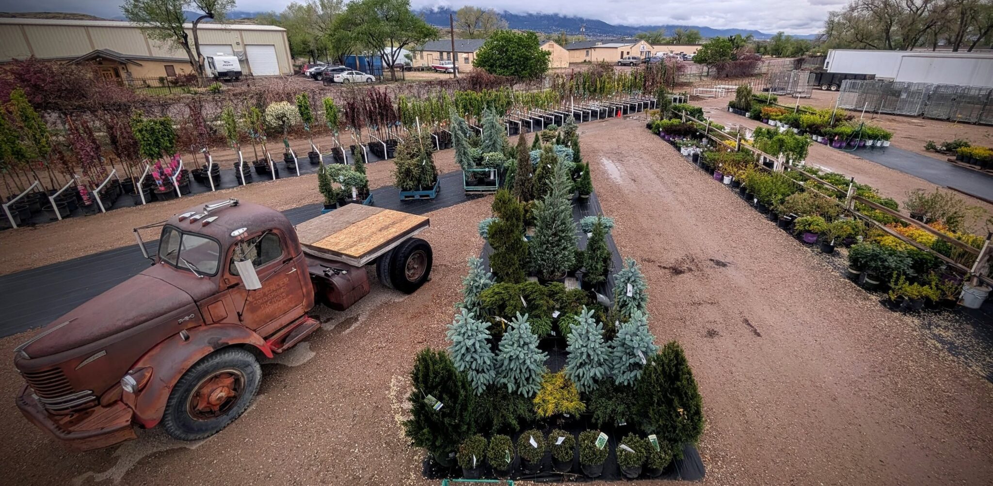 We Wait All Year for This! Bring on the May-hem!​